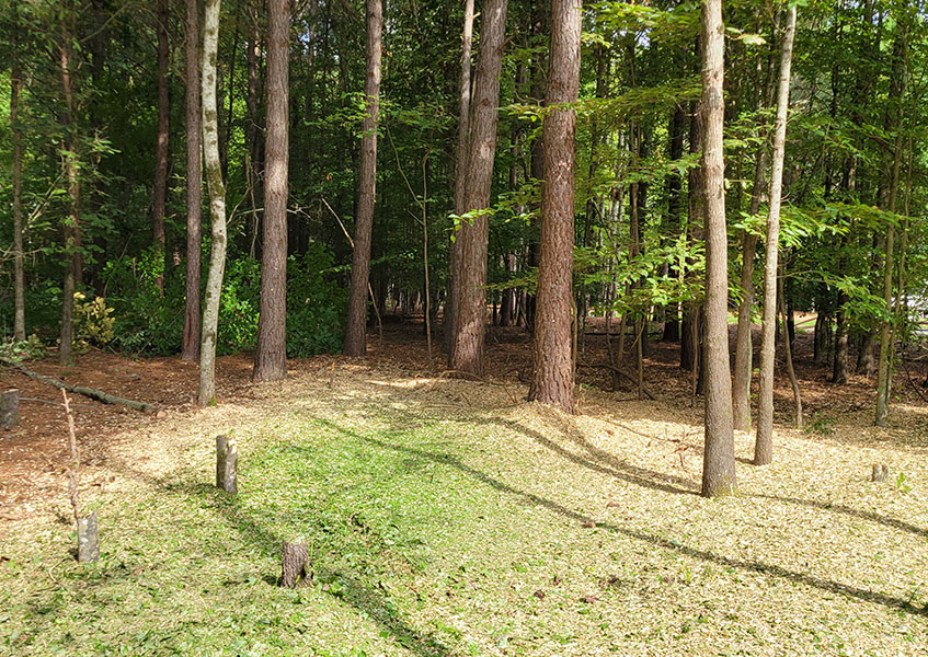 creekside_0003s_0003_20240824_103251