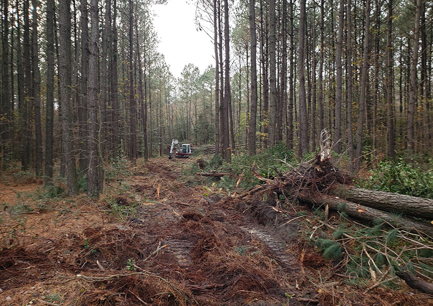 creekside_0003s_0005_20211121_143316